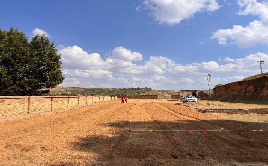 Soil Remediation and Vegetation Restoration at an Abandoned Well Site of Changqing Oilfield